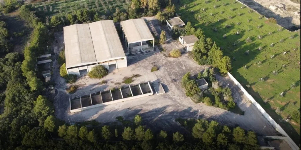 Immagine 4: Impianto di Riciclaggio a Ugento: Destinato Solo alla Carta - Puglia