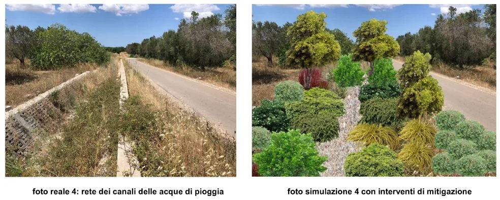 Il piano del verde fantasma nel comune di Ugento