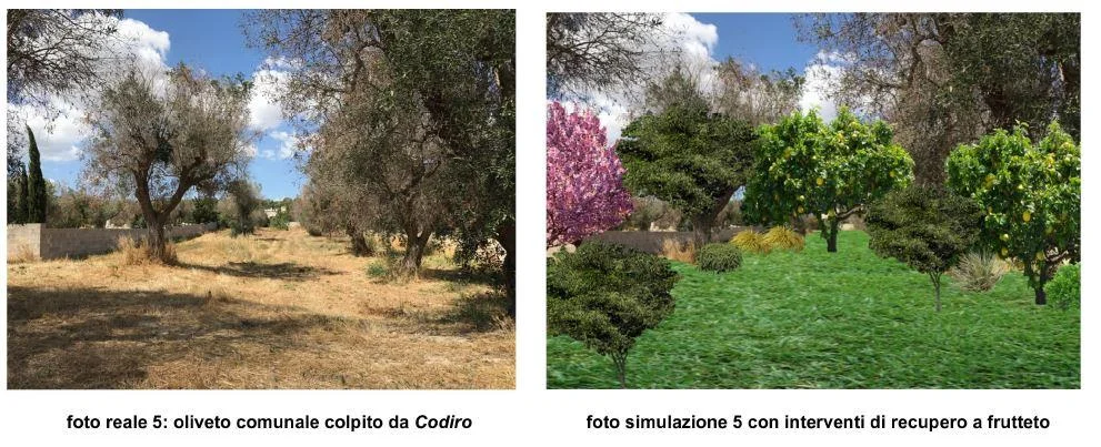 Il piano del verde fantasma nel comune di Ugento