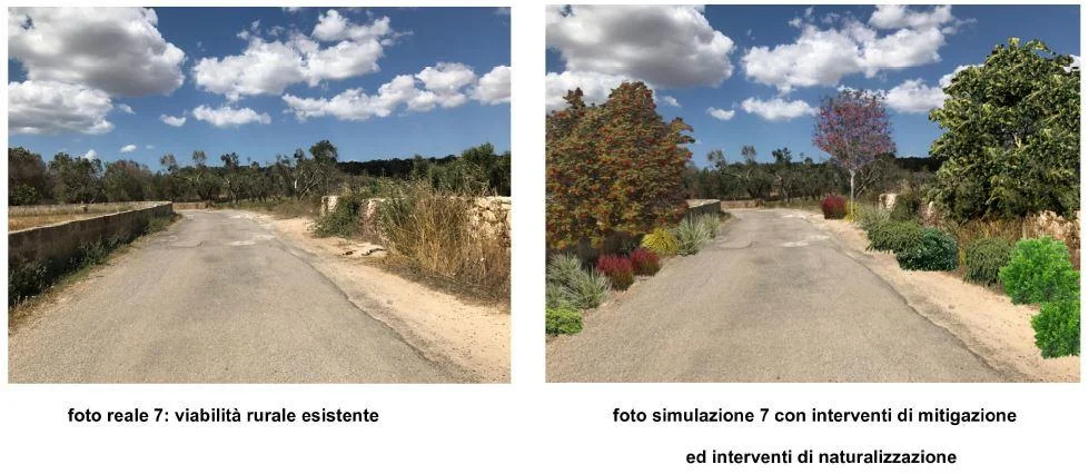 Il piano del verde fantasma nel comune di Ugento