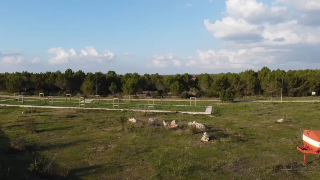Cavaleonte: un progetto rimasto incompiuto