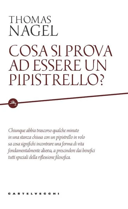 disabilità e filosofia