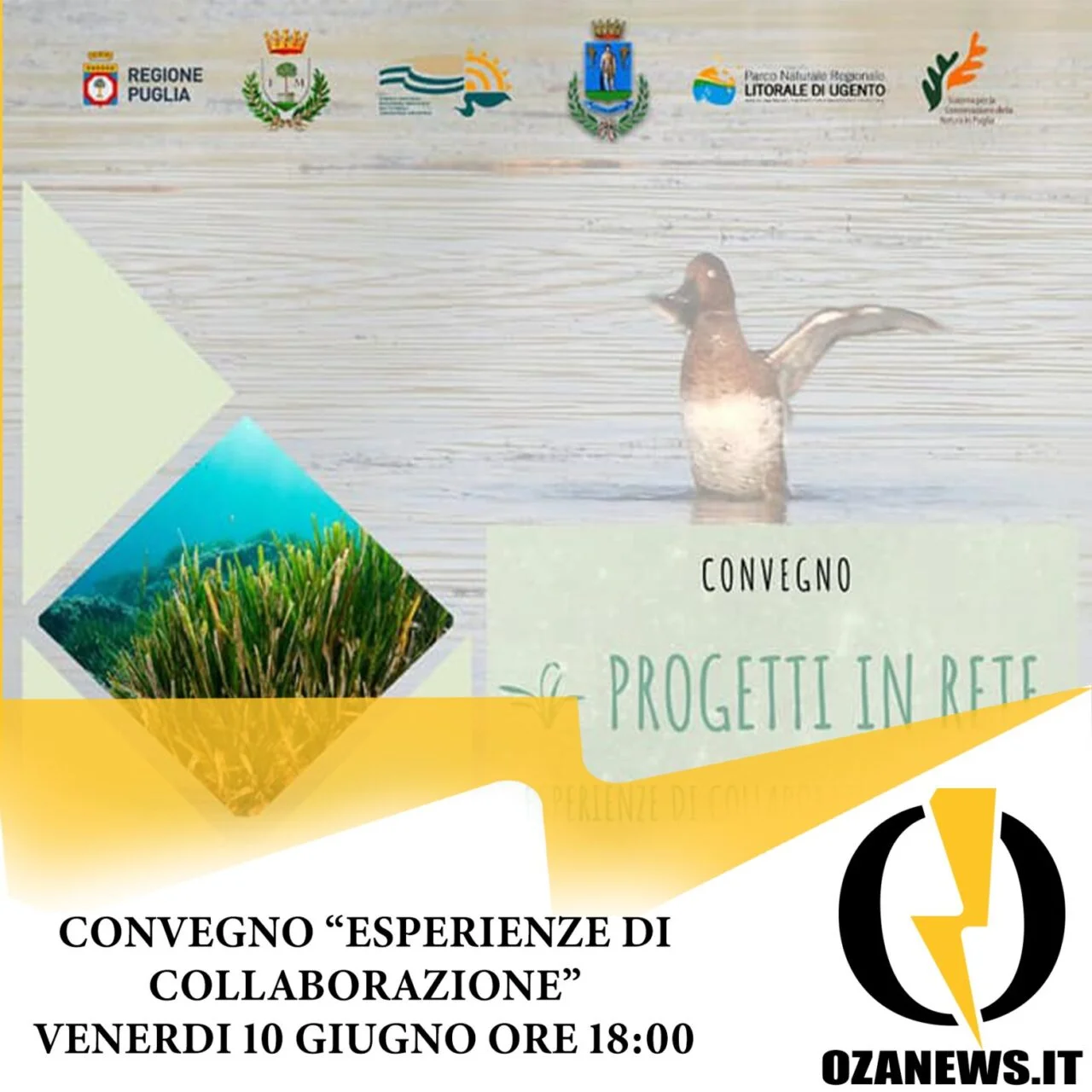 Progetti in rete – Esperienze di collaborazioni virtuose