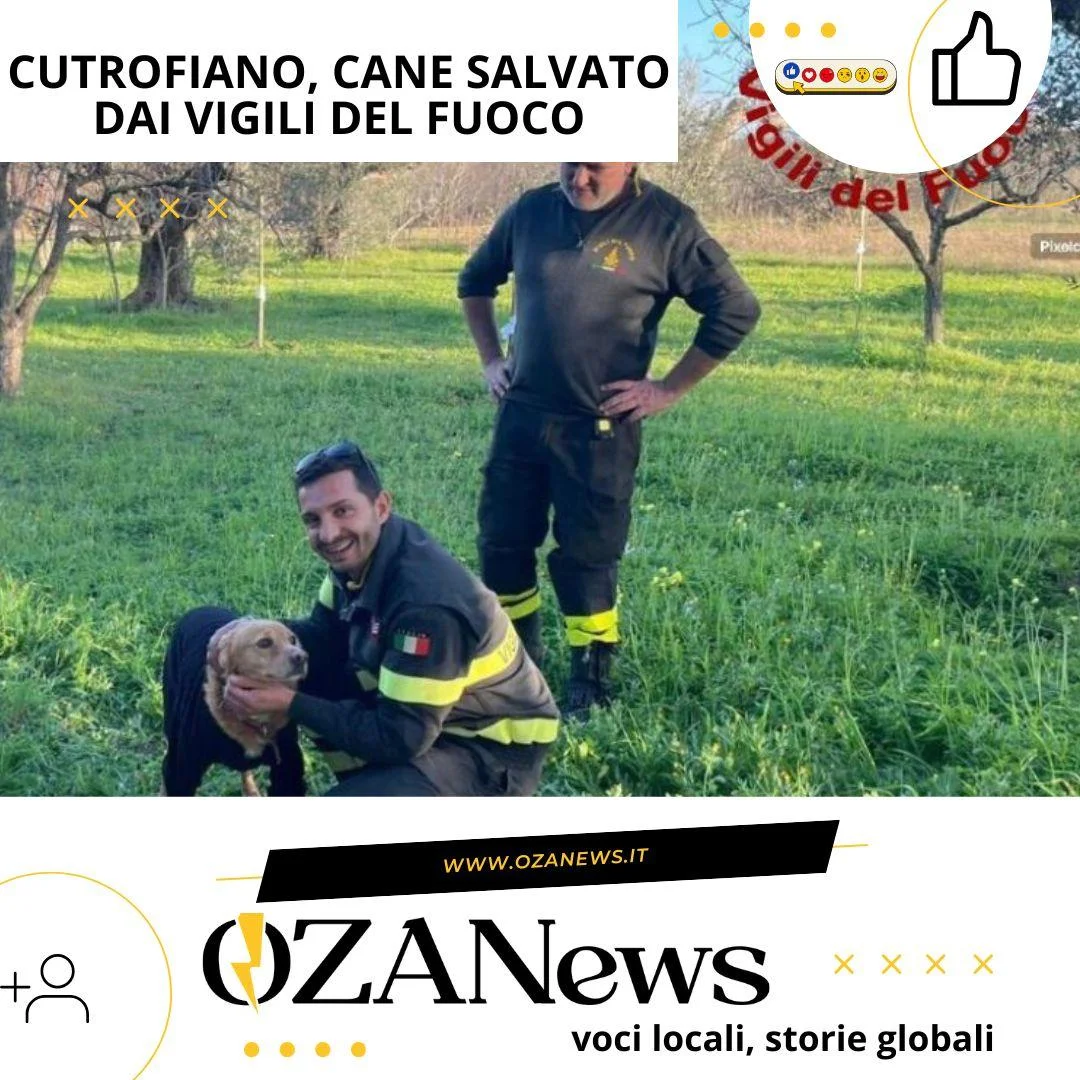 Cutrofiano, cane salvato dai vigili del fuoco