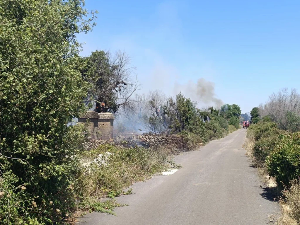 Incendio tra Presicce-Acquarica e Salve: oltre 5 ettari in fumo