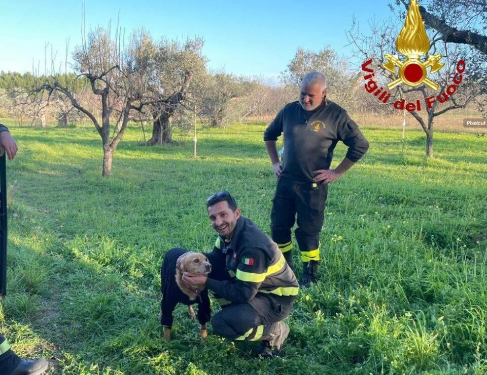 Cutrofiano, cane salvato dai vigili del fuoco