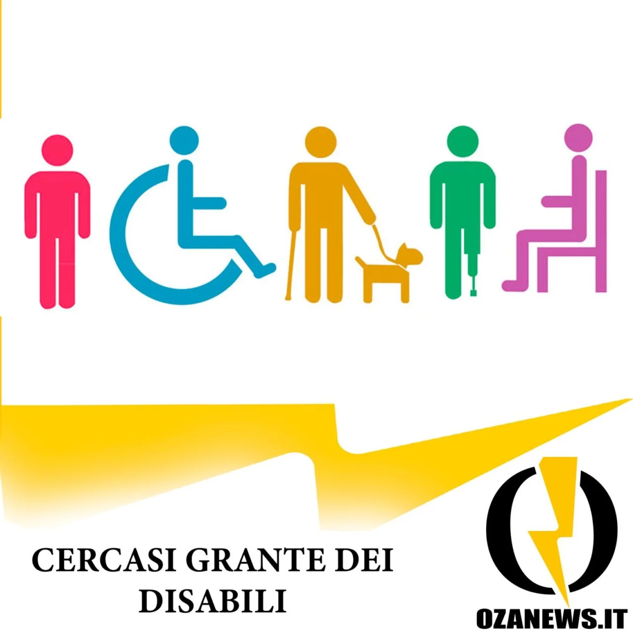 Garante dei Disabili cercasi