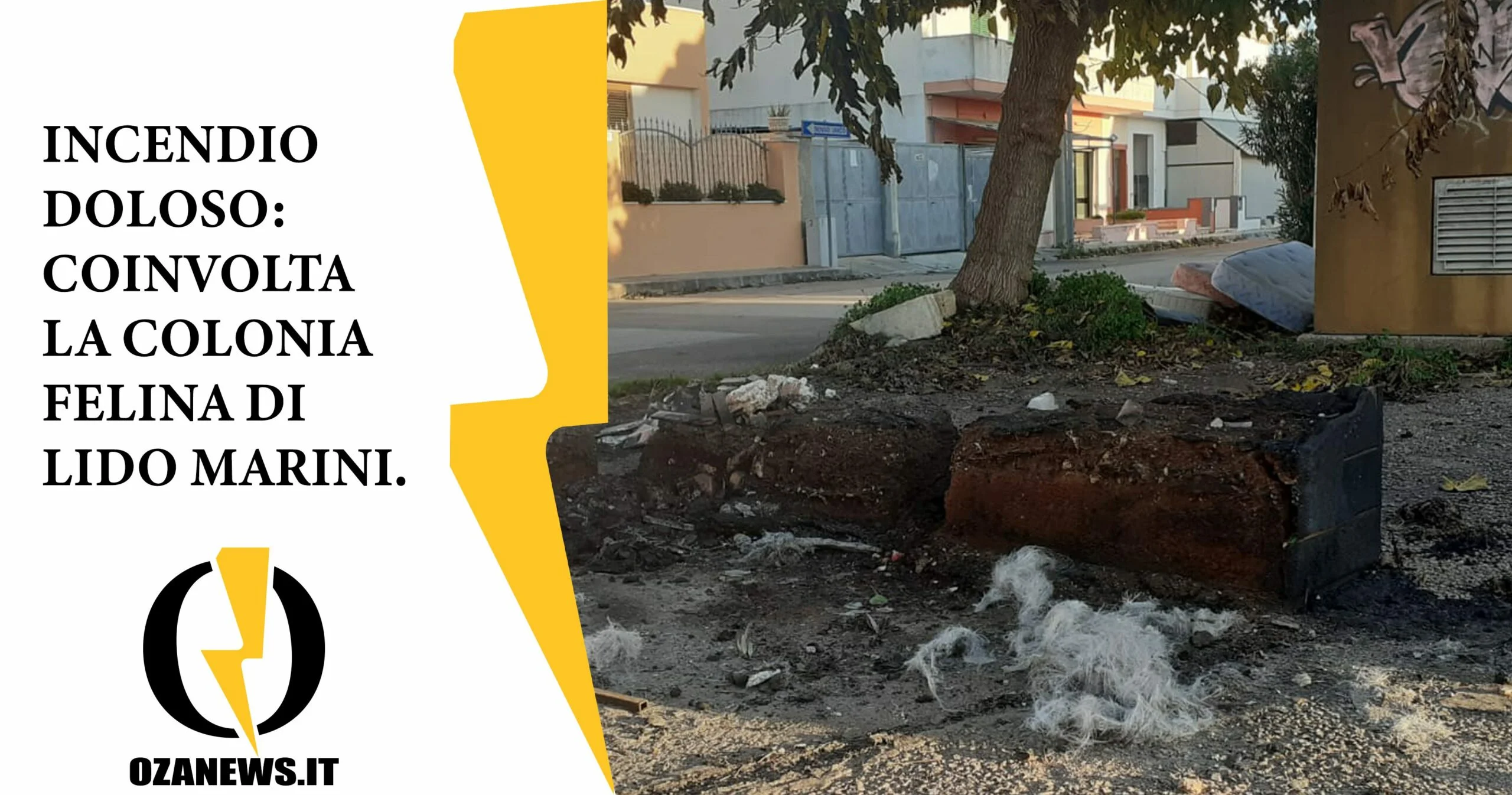 Incendio doloso a Lido Marini: gatti in pericolo