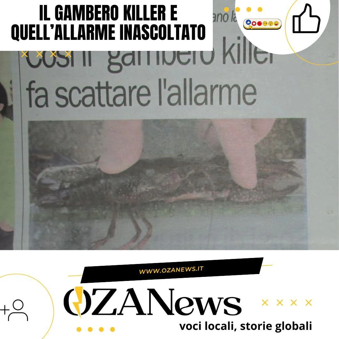 L’arrivo del gambero killer a Ugento e gli appelli inascoltati