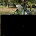 Immagine 1: Grande partecipazione all&rsquo;eco-passeggiata nel Parco Litorale di Ugento - Casarano