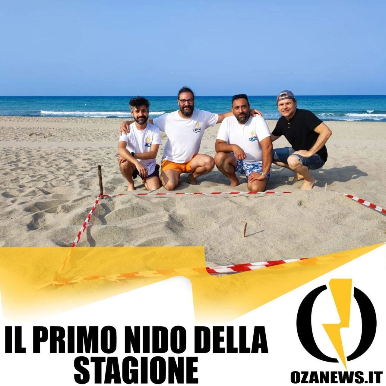 Il primo nido di tartaruga del 2023 sulle spiagge di Torre San Giovanni