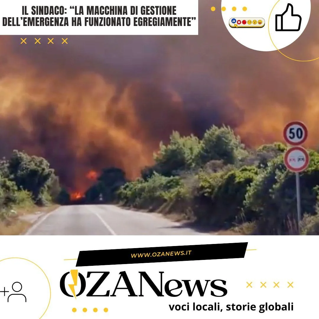 Ugento, quando la prevenzione funziona ma gli alberi bruciano lo stesso