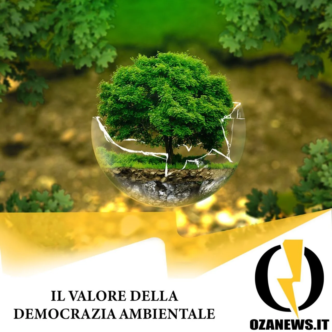 Il valore della Democrazia Ambientale