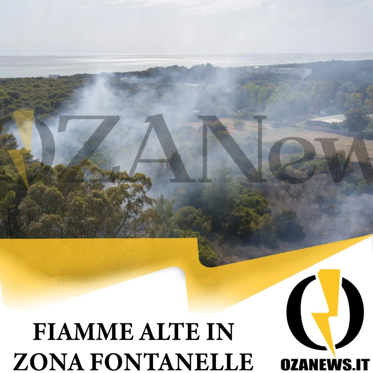Fiamme alte in zona fontanelle, al centro del Parco Litorale di Ugento