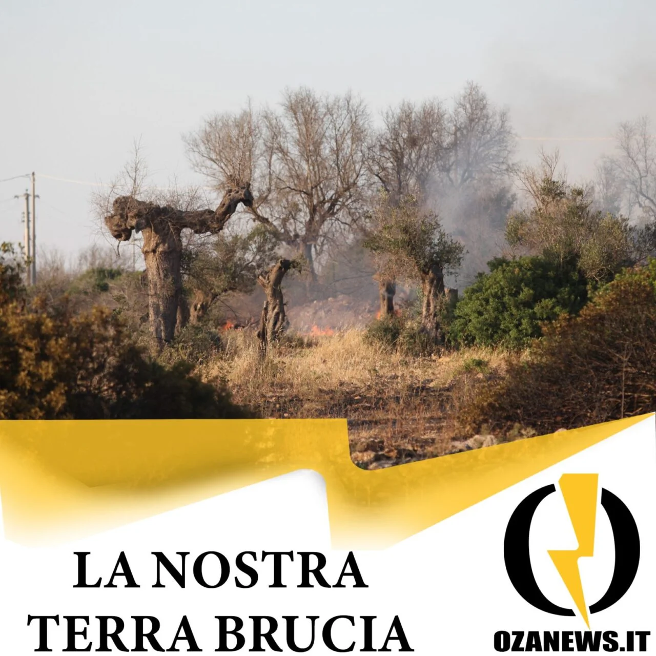 La nostra terra brucia, ma dobbiamo ricostruire￼