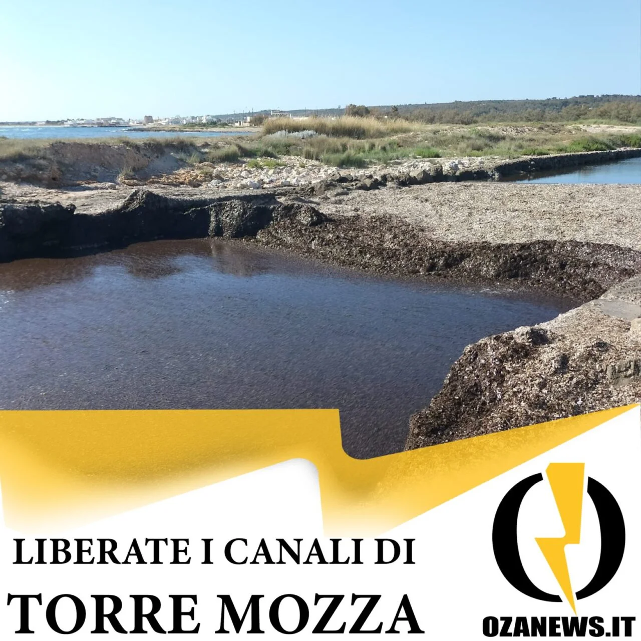 La segnalazione degli amanti della natura: liberate i canali di Torre Mozza