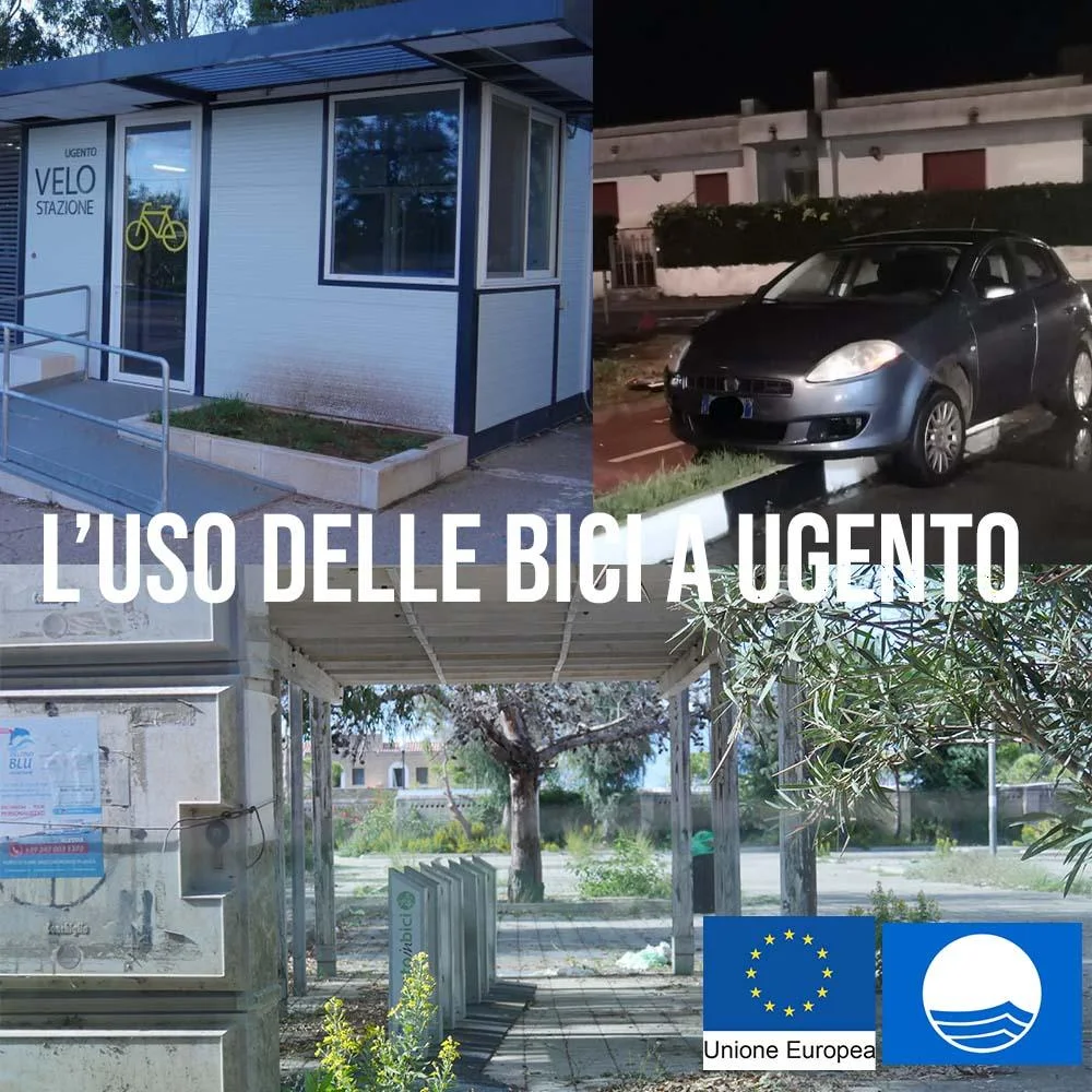 L’economia dei bandi: un gioco per pochi che diverte solo chi partecipa
