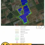 Immagine 1: Agrivoltaico da 18 MWp a Ugento: si avvia il procedimento per la V.I.A. - Basso Salento