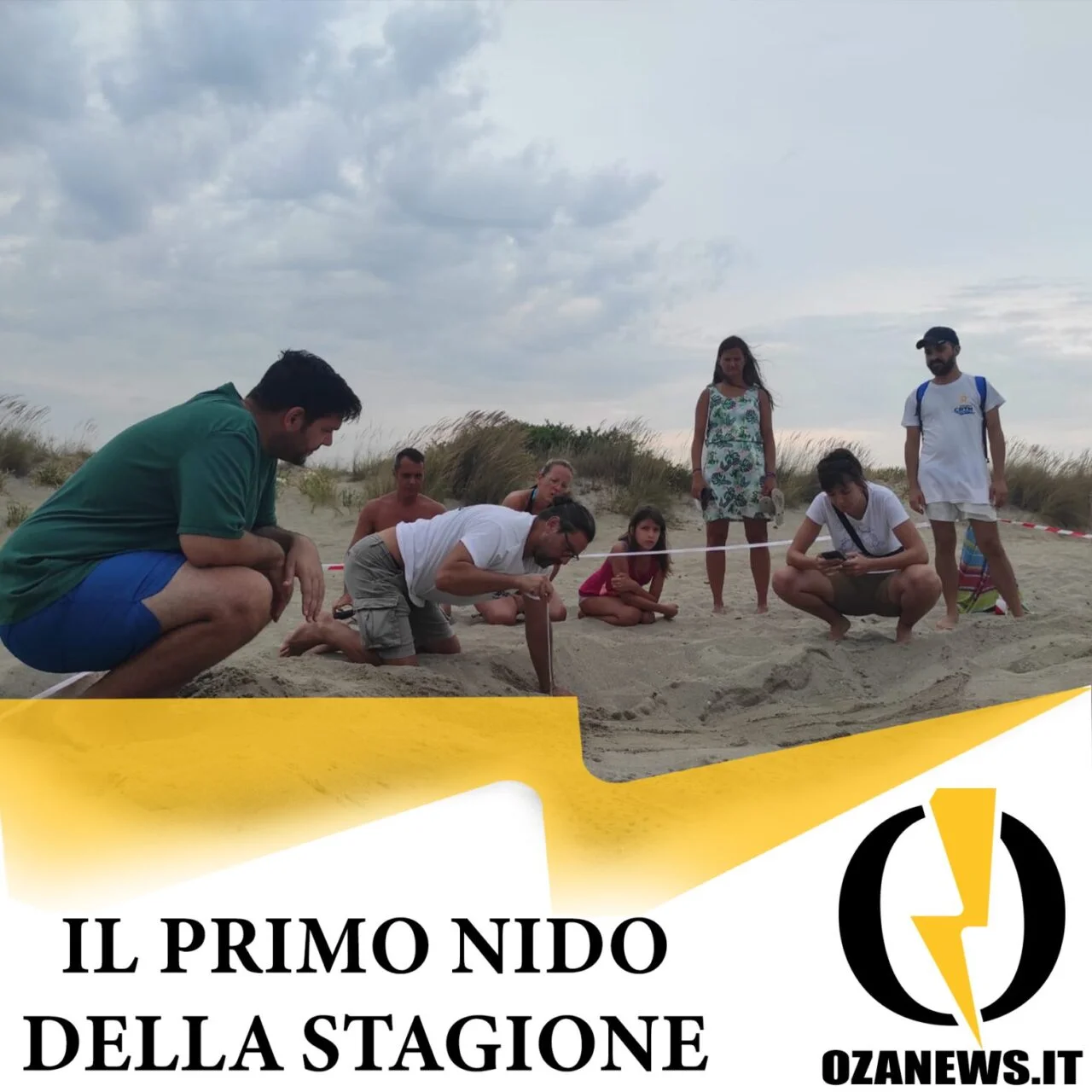 Trovato il primo nido di tartaruga marina di Torre San Giovanni
