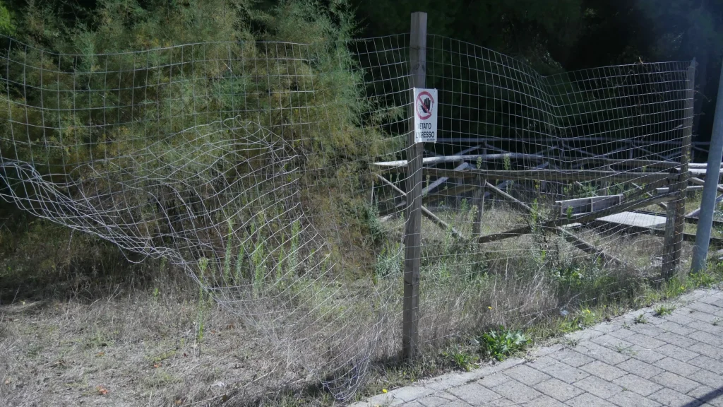Immagine 2: Manutenzione Straordinaria al Parco Litorale di Ugento - Ugento