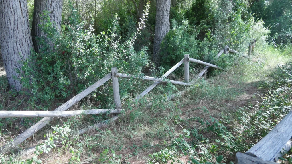 Immagine 4: Manutenzione Straordinaria al Parco Litorale di Ugento - Ugento