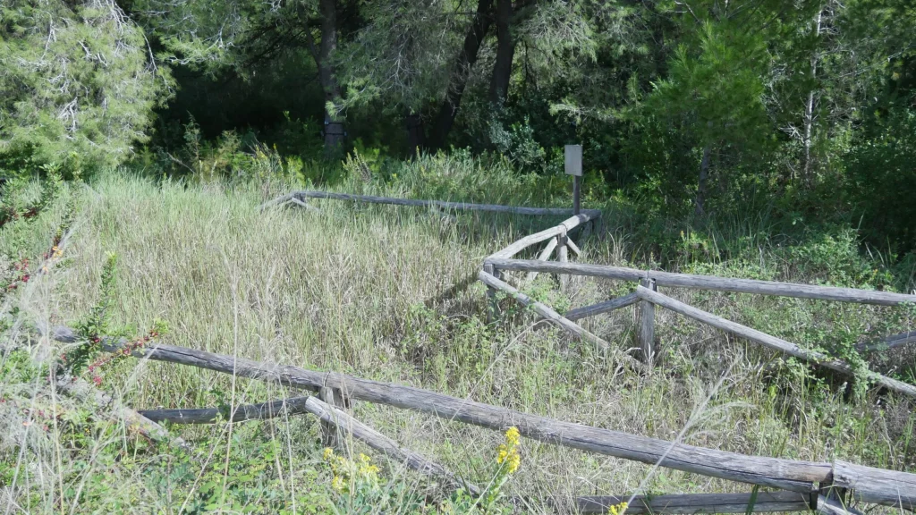 Immagine 6: Manutenzione Straordinaria al Parco Litorale di Ugento - Ugento