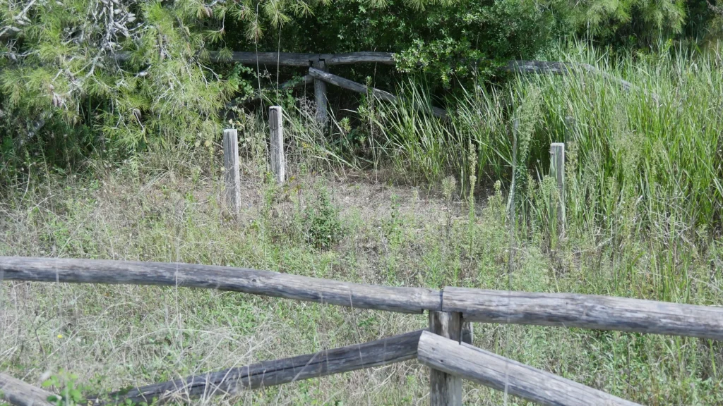 Immagine 7: Manutenzione Straordinaria al Parco Litorale di Ugento - Ugento
