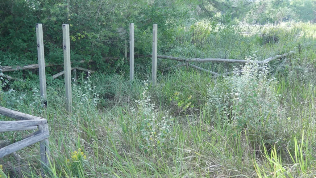 Immagine 9: Manutenzione Straordinaria al Parco Litorale di Ugento - Ugento