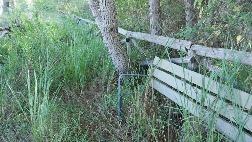 Immagine 10: Manutenzione Straordinaria al Parco Litorale di Ugento - Ugento