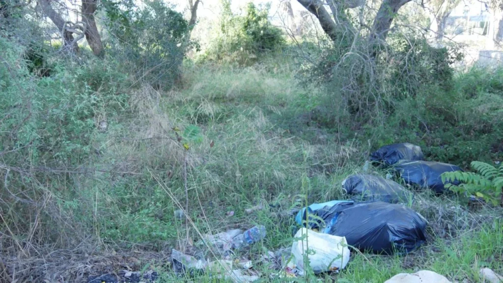 Immagine 3: L&rsquo;importanza dei cammini storici in Puglia - Gagliano del Capo