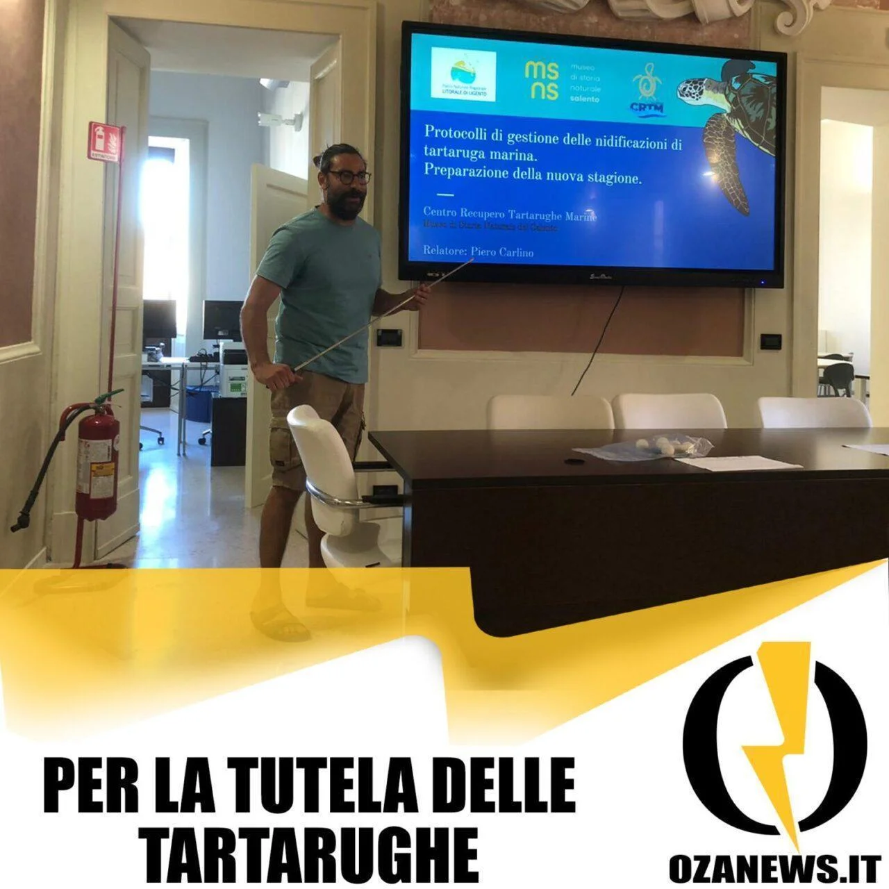 Un incontro sulla tutela delle tartarughe