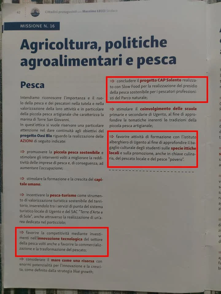 Analisi del Programma Elettorale di Massimo Lecci