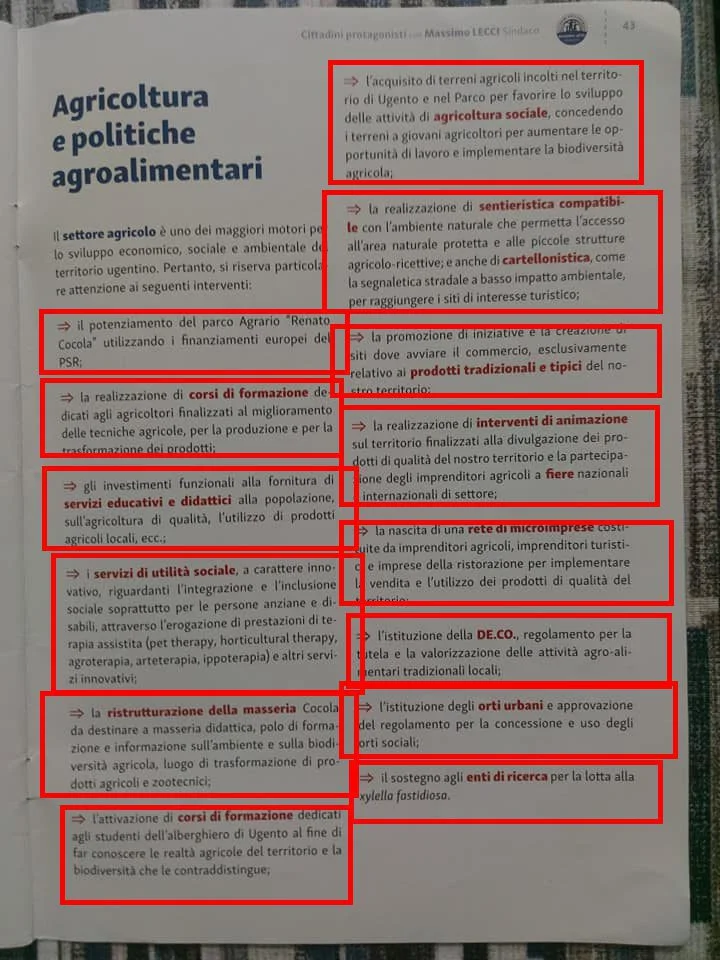 Analisi del Programma Elettorale di Massimo Lecci