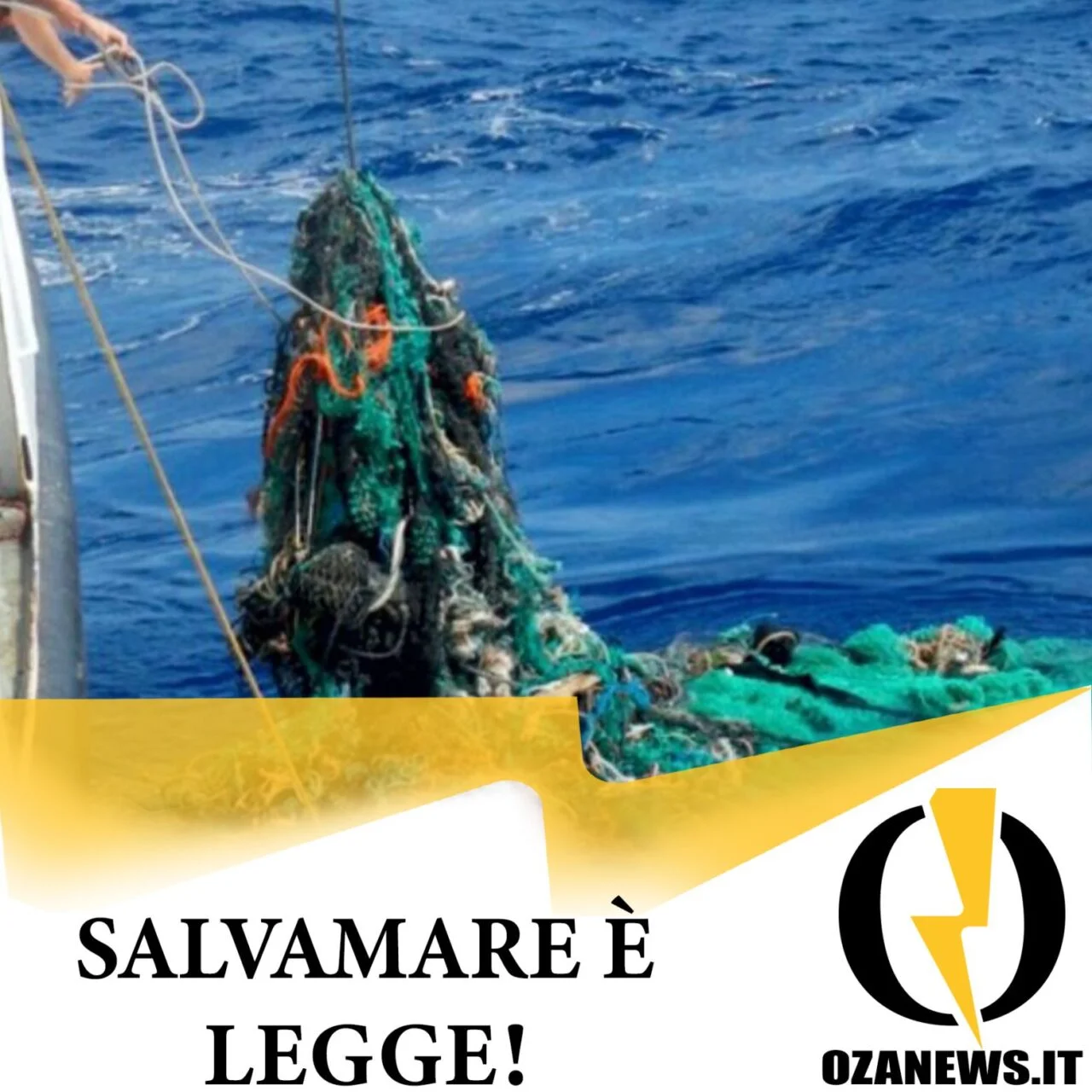 Salvamare è legge!