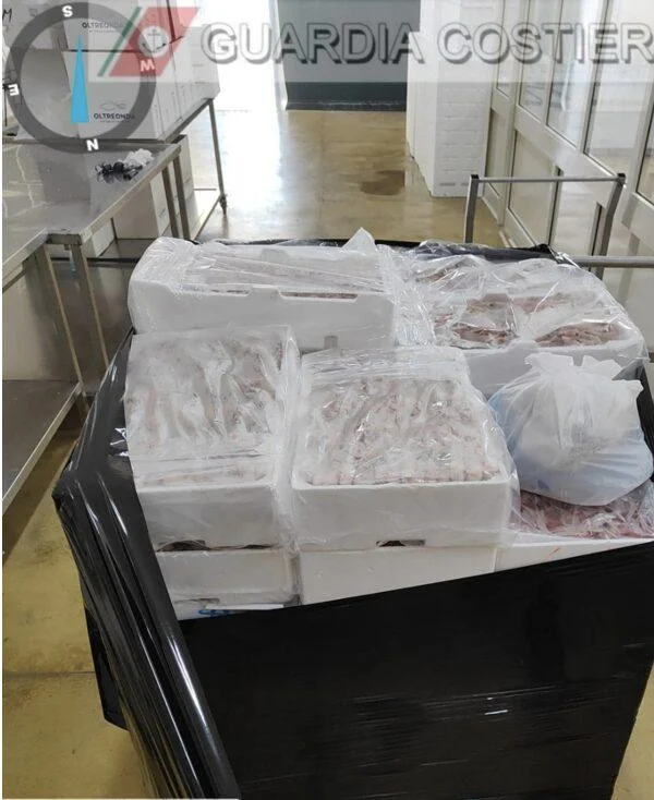 LA GUARDIA COSTIERA SANZIONA E SEQUESTRA 300 Kg DI PRODOTTO ITTICO ILLEGALE&nbsp;
