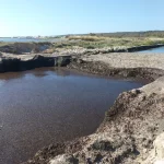 Immagine 1: La segnalazione degli amanti della natura: liberate i canali di Torre Mozza - Puglia