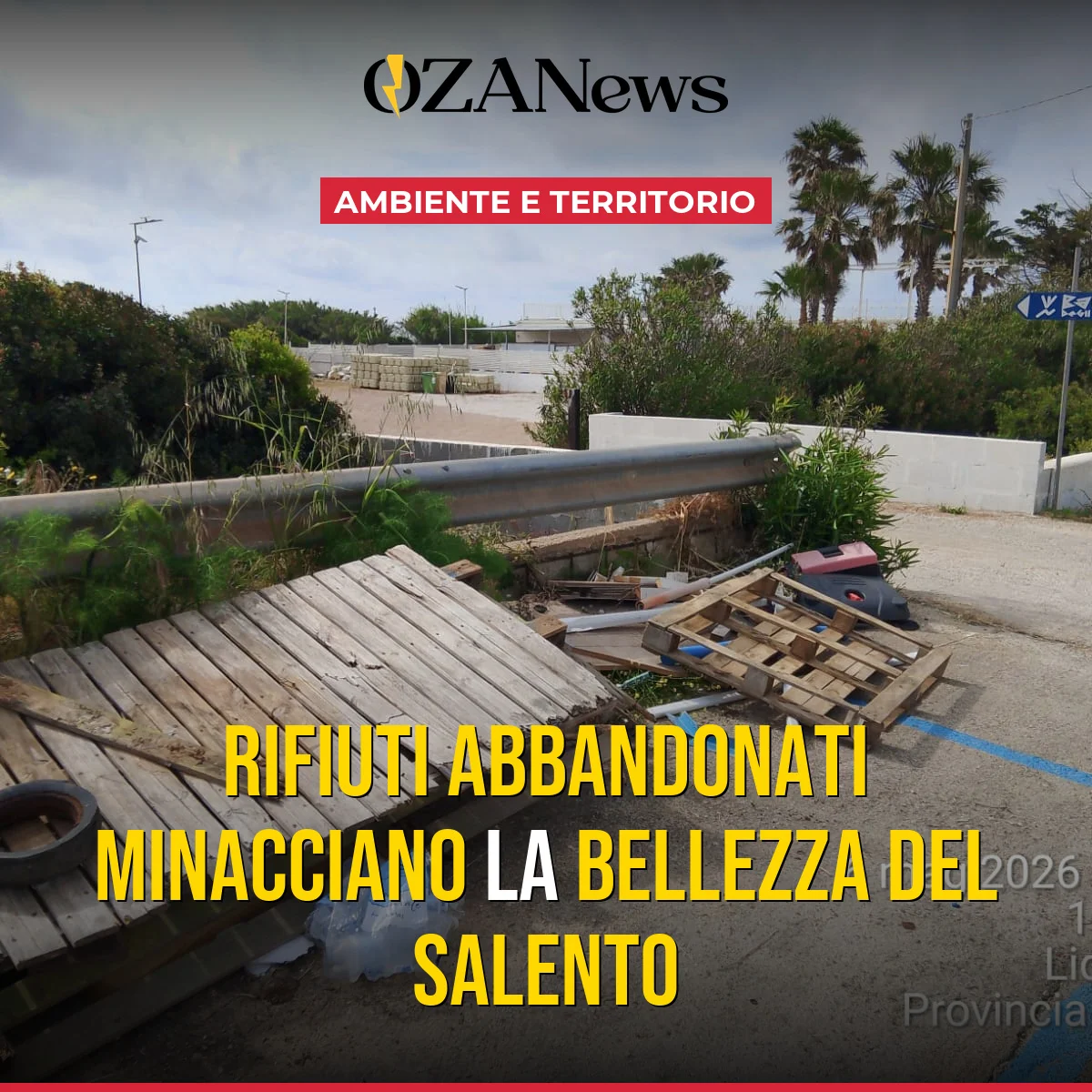 Rifiuti Abbandonati nel Salento: Un Appello alla Comunità