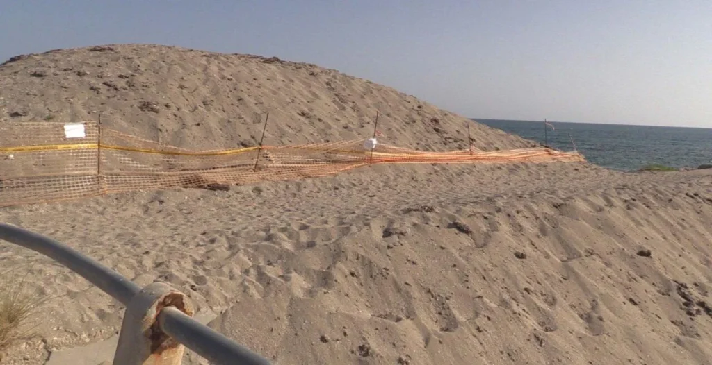 Immagine 1: A Ugento arrivano le prime condanne per reati ambientali - Lecce