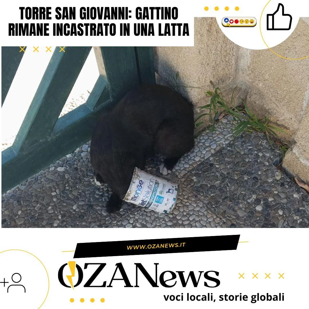 Torre San Giovanni: gattino rimane incastrato in una latta