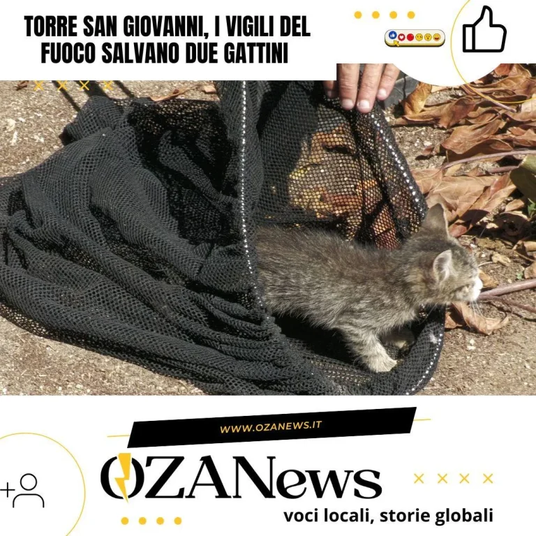Torre San Giovanni, i vigili del fuoco salvano due gattini