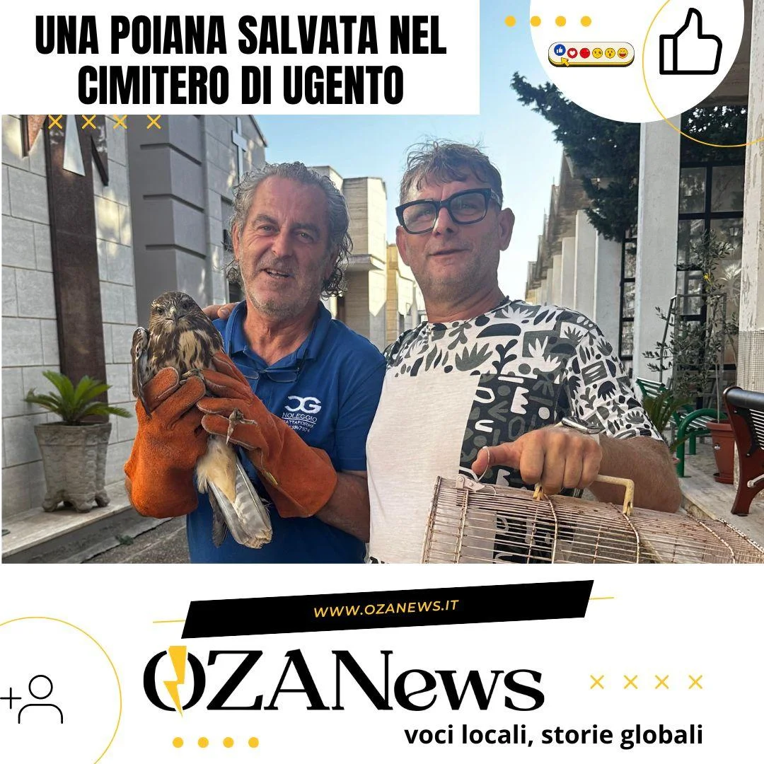Una poiana salvata nel cimitero di Ugento