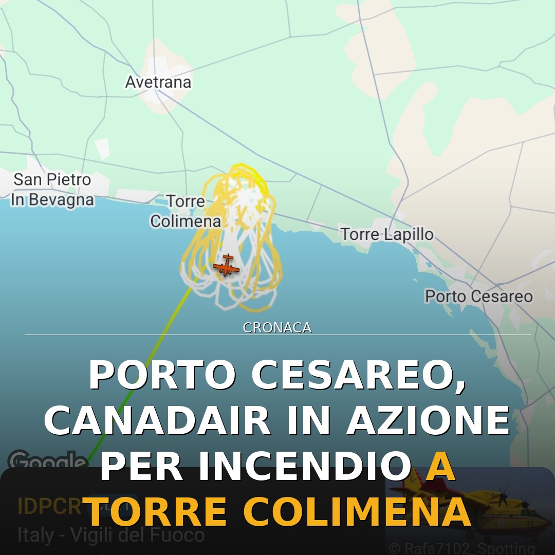 Porto Cesareo, Canadair in azione per incendio a Torre Colimena