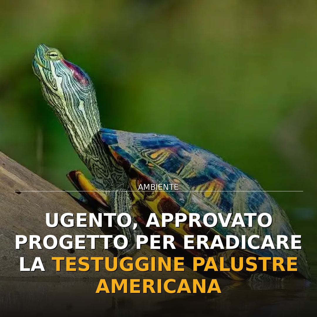 Ugento, approvato progetto per eradicare la testuggine palustre americana