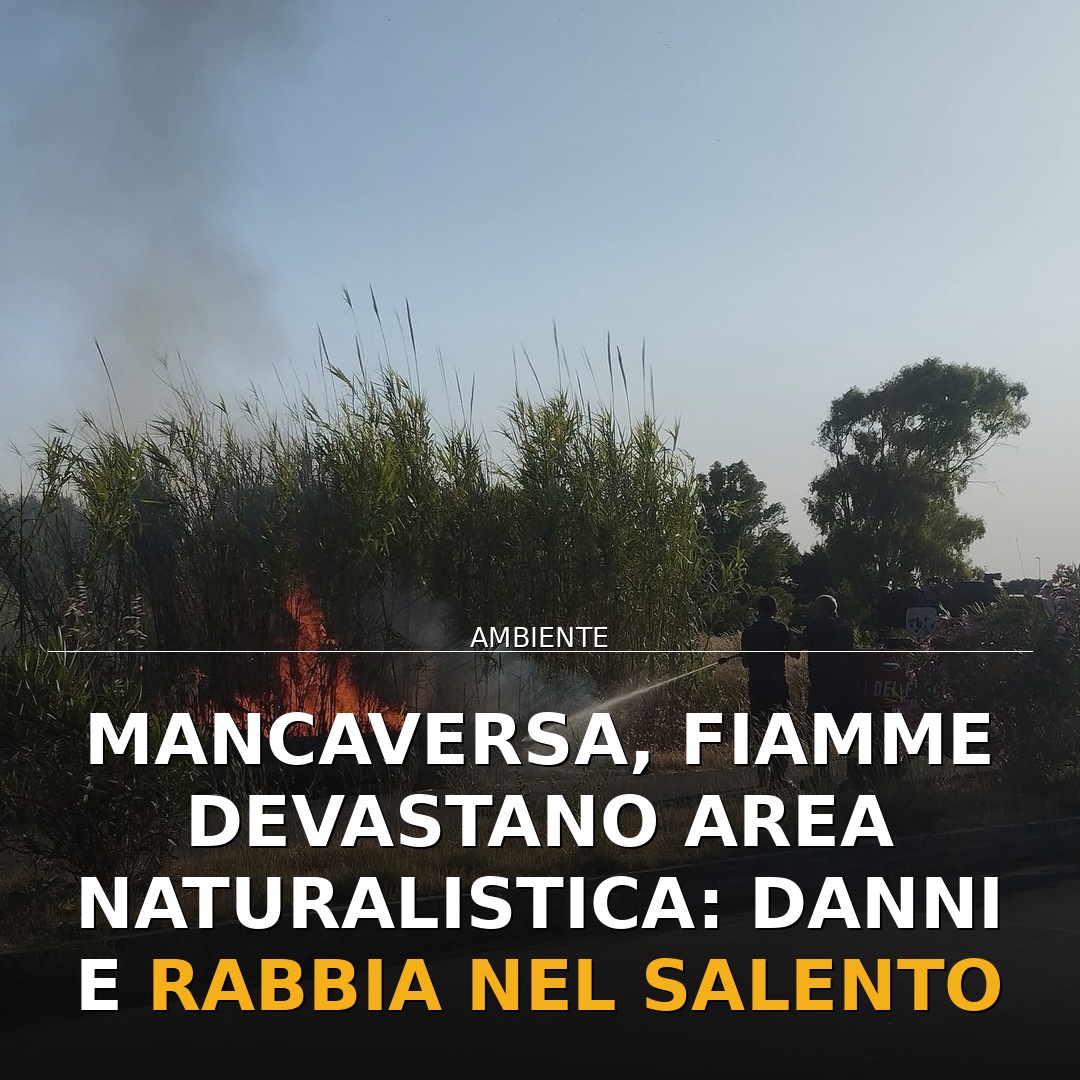 Mancaversa, fiamme devastano area naturalistica: danni e rabbia nel Salento