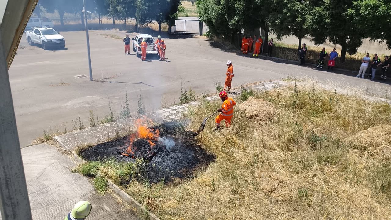 Foto allegata