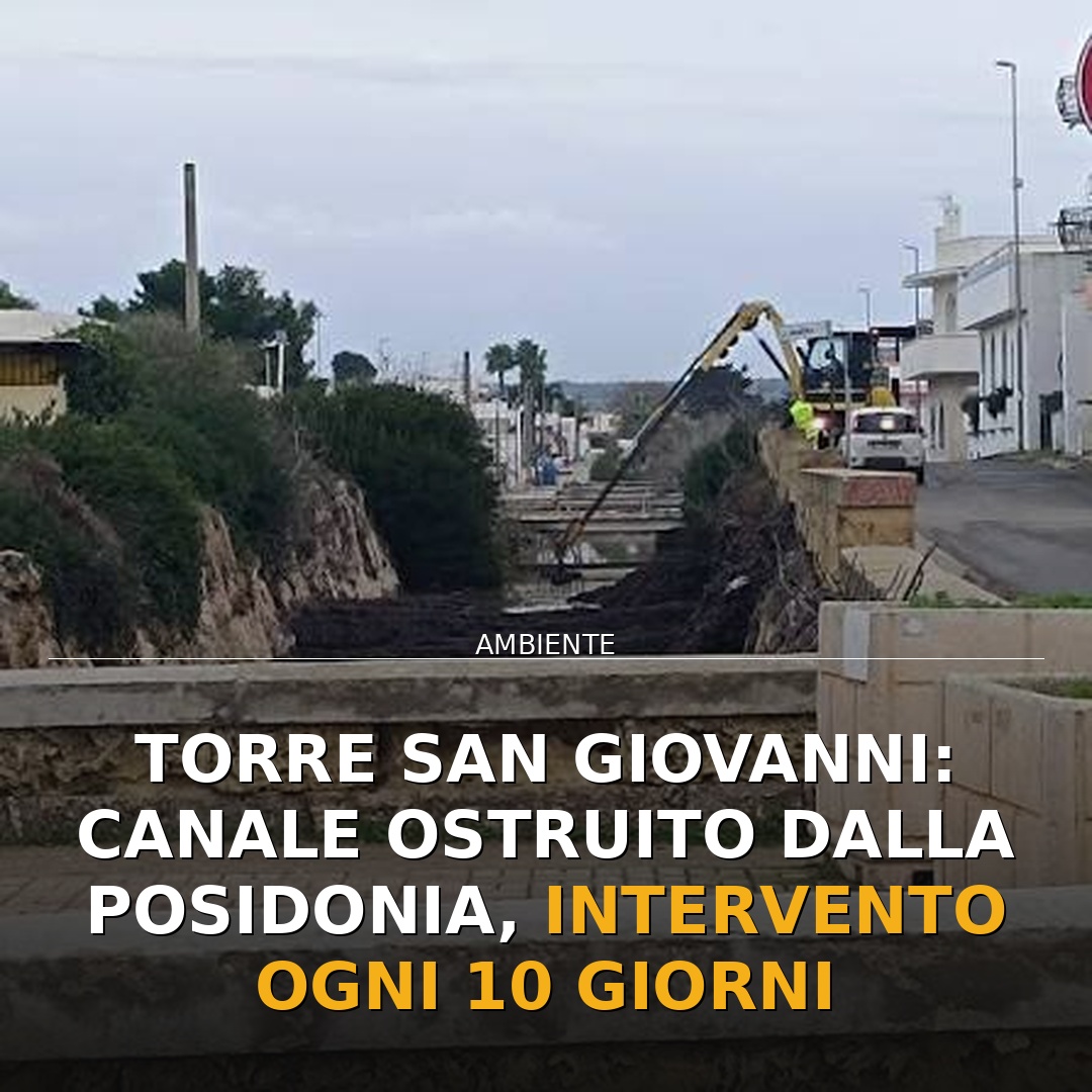 Torre San Giovanni: Canale ostruito dalla Posidonia, intervento ogni 10 giorni