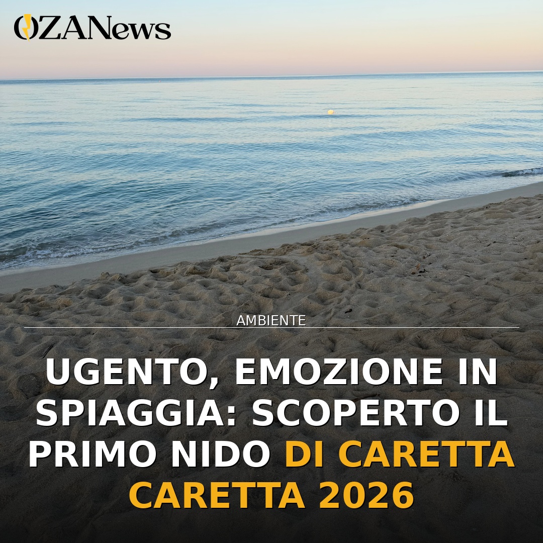 Ugento, emozione in spiaggia: scoperto il primo nido di Caretta caretta 2026