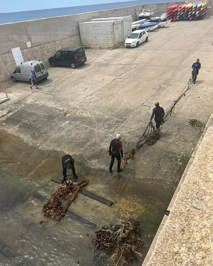 Foto allegata