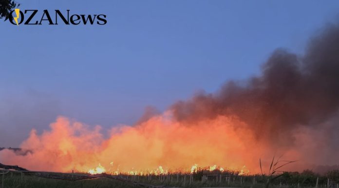 Ugento, scatta l’ordinanza anti-incendio per i terreni incolti