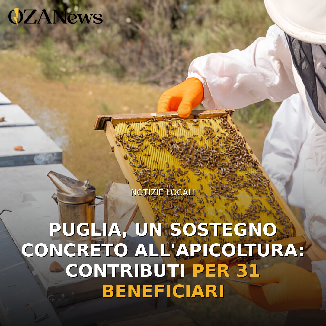 Puglia, un sostegno concreto all’apicoltura: contributi per 31 beneficiari